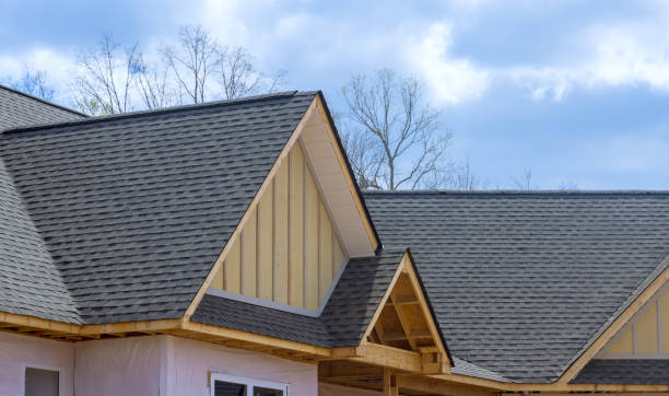 Professional Roofing Service  in Wesley Chapel, FL